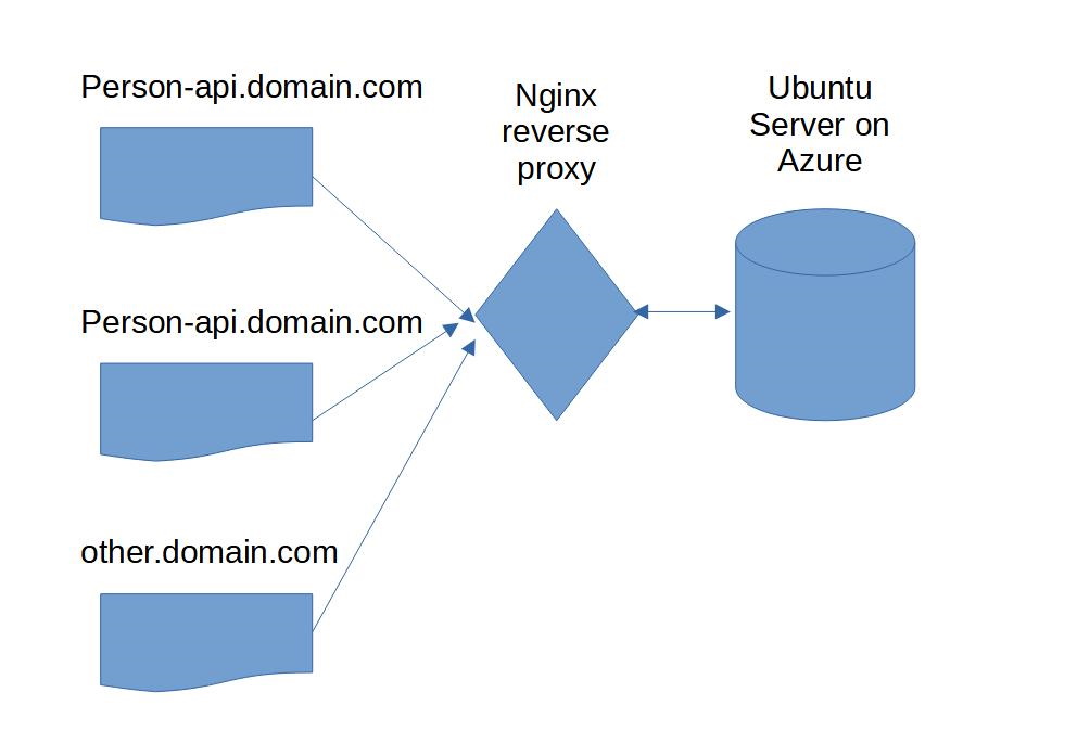 multiple sites with nginx reverse proxy
